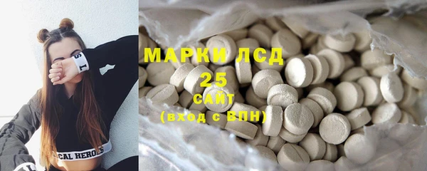 твердый Арсеньев