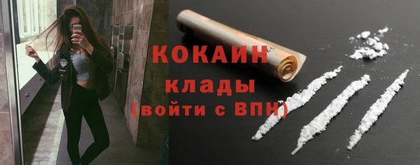 твердый Арсеньев