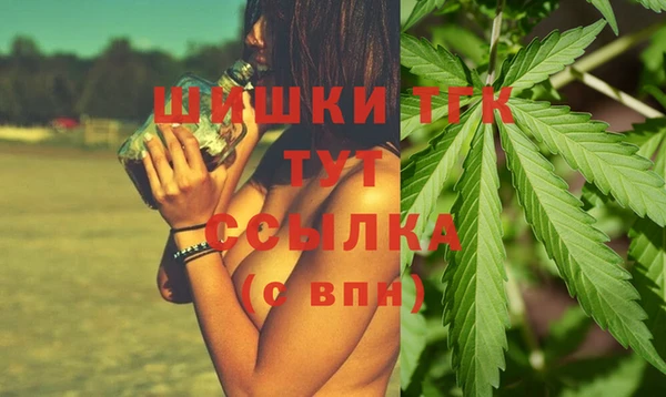 тгк Армянск