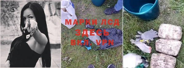 apvp Аркадак
