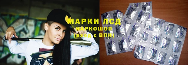 apvp Аркадак
