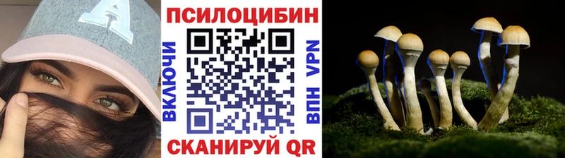 Псилоцибиновые грибы мицелий  Павловск 
